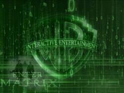 Enter the Matrix1